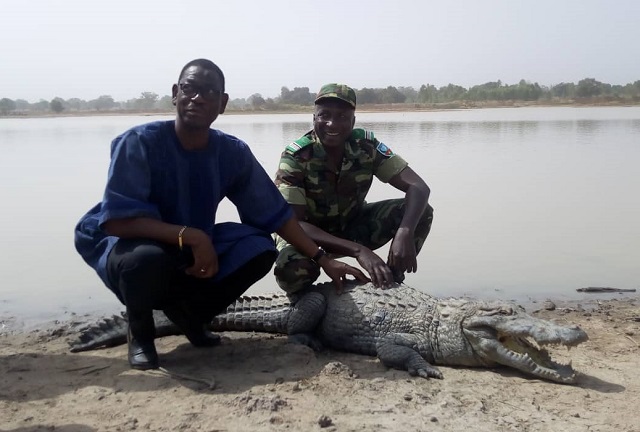 Ministère de l’Environnement : Des forages et des digues pour protéger les crocodiles sacrés de Bazoulé et de Sabou