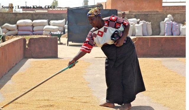 Contribution de la femme à la réduction de la pauvreté au Burkina Faso : cas des étuveuses de riz de Bama