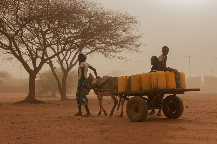 Insécurité au Burkina : Des efforts de résilience dans les régions touchées 