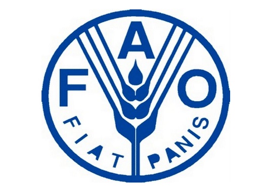 Ne permettons pas au COVID-19 de faire le jeu de la faim, exhorte la FAO