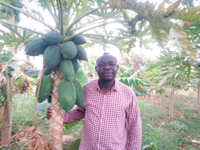 Jean Bosco Sawadogo, le sociologue qui a opté de retourner à l’agriculture 