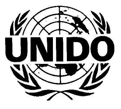 United Nations industrial development organization terms of reference for personnel under individual service agreement (isa)