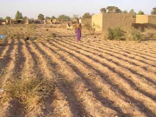 Variabilité climatique et dynamique d’occupation des terres dans le bassin versant du barrage de Yakouta (Sahel Burkinabè)