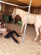 Burkina/Sport hippique&nbsp;: «&nbsp;Un jockey n’a pas d’avenir après sa carrière&nbsp;», regrette Tarr Sidi Mohamed, ancien grand jockey