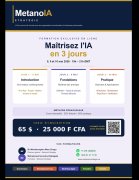 METANOIA STRATÉGIE&nbsp;: Offre de formation en IA