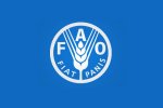 la fao recrute pour ce poste 25 septembre 2023 2 1faa1