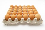 Burkina : Le prix de vente de l'œuf de poule pondeuse désormais fixé à 100 F au consommateur final 1 images 25 66d65