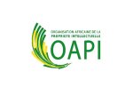 Appel à candidatures pour la 10ème édition du Salon Africain de l'Invention et de l'Entreprise Innovante, Niamey -2026