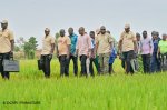 Plaine rizicole de Bama : Rimtalba Jean Emmanuel Ouédraogo galvanise les producteurs 1 img 20260429 wa0066 af3bc