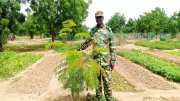 Burkina/Environnement : Les bonnes pratiques de plantation pour un reboisement réussi