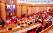 Nigeria&nbsp;: Une affaire d’agence gouvernementale «&nbsp;fictive&nbsp;» crée la tourmente dans l’administration publique