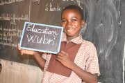 L’avenir des écoles bi-plurilingues dans le processus d’officialisation des langues nationales au Burkina Faso&nbsp;?