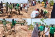 Reboisement&nbsp;: CGE Immobilier plante 120 arbres dans la ville nouvelle de Yennenga