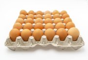 Burkina&nbsp;: Le prix de vente de l’œuf de poule pondeuse désormais fixé à 100 F au consommateur final