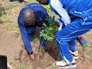 Boucle du Mouhoun : La 6e édition de la Journée nationale de l’arbre célébrée à Dédougou