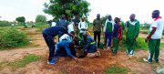 Burkina/Reboisement&nbsp;: Le projet SOLEER met 280 plants en terre à l’université Thomas Sankara