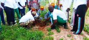 Ziniaré&nbsp;: La société Sidnoma Immobilier plante des arbres pour marquer son dixième anniversaire