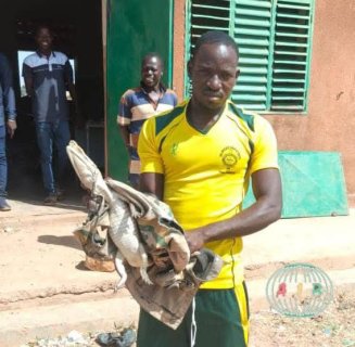Burkina/Lorum&nbsp;: Un crocodile s’introduit dans une classe et provoque la panique à l’école de Watinoma A 