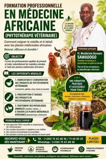 FORMATIONS PROFESSIONNELLES AOUAGADOUGOU DU 10 AOÛT AU 15 AOÛT 2026