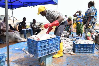 Barrage de Soum&nbsp;: 61 militaires reconvertis dans la pisciculture 