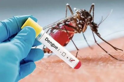 Dengue : Le ministère de la Santé rappelle les signes d’alerte et les gestes de prévention