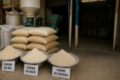 ‎ Burkina Faso&nbsp;: L’exportation de la farine de mil, de maïs et de sorgho suspendue jusqu’à nouvel ordre