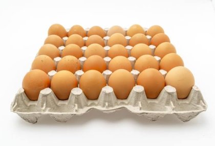 Burkina&nbsp;: Le prix de vente de l’œuf de poule pondeuse désormais fixé à 100 F au consommateur final