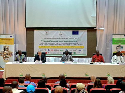 Programmes OKDB&nbsp;: Les acteurs se concertent à Bobo-Dioulasso pour renforcer l’impact des interventions