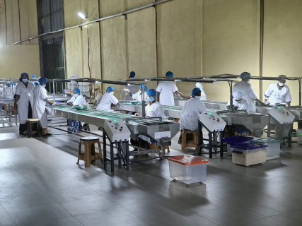 Bobo-Dioulasso : Le président du Faso inaugure l’usine Burkina Cajou SA, un pas vers la transformation locale de l’anacarde