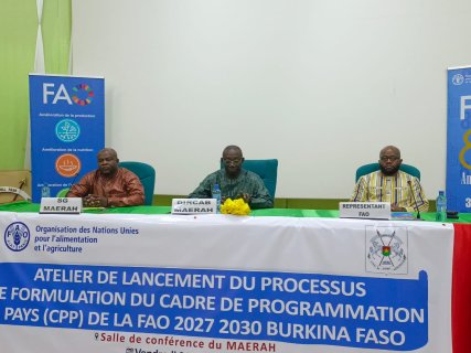 Burkina : Le processus de formulation du cadre de programmation pays de la FAO pour la période 2027-2031 officiellement lancé