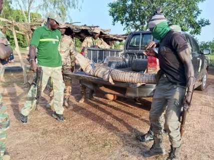 Kourweogo : Un crocodile capturé après l’agression d’un mineur