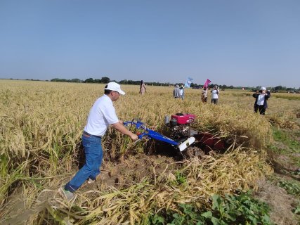 Burkina Faso : À Boulbi, la mission agricole chinoise promeut la récolte mécanisée du riz hybride