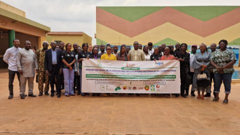 Burkina Faso NGOs: SPONG Advocates for Recognition of Certification Gains
