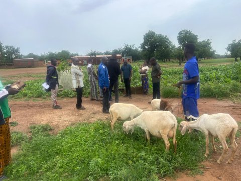 Two-Year Aid Project Wraps Up After Helping Food-Insecure Households in Burkina Faso