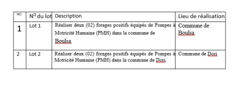 Avis d'appel d'offres pour la réalisation de quatre (04) forages positifs équipés de pompes à motricité humaine (PMH) Dans Les Communes De Boulsa Et De Dori. 2 2 9344 805a4
