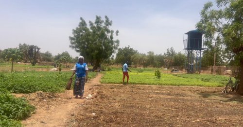 Semaine de l'Europe au Burkina : L'Union européenne met en lumière ses réalisations à Ouagadougou 4 whatsapp image 2026 05 07 at 11.19 53 fdd31