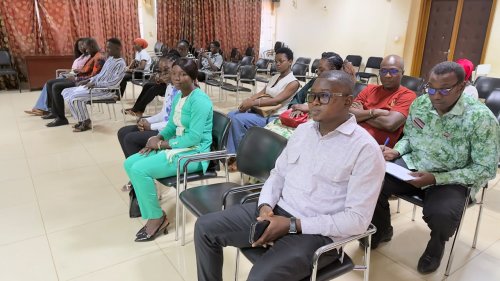 Burkina/Santé : La JCI Ouaga Synergie renforce son engagement contre la drépanocytose 3 img 20260712 wa0008 81bd1