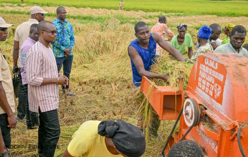 Plaine rizicole de Bama : Rimtalba Jean Emmanuel Ouédraogo galvanise les producteurs 3 img 20260429 wa0072 b7bef