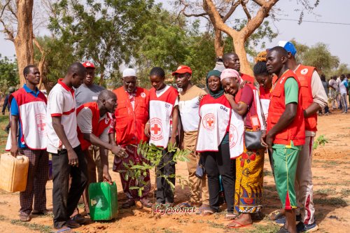 Journée nationale de l'arbre 2026 : La région des Koulsé ambitionne de mettre en terre au moins 350 000 plants 7 7 l e quipe de la croix rouge a kongoussi a pris l engagement d entretenir les plants dbfd8