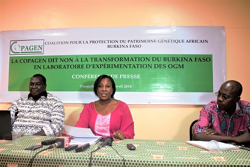 Moustiques OGM au Burkina Faso : Les inquiétudes de la COPAGEN 