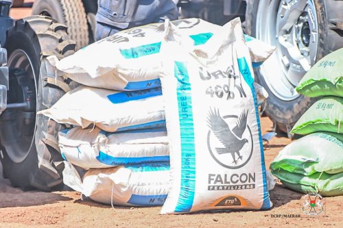 Houndé : Endeavour Mining injecte plus de 1,5 milliard de francs CFA pour soutenir 270 producteurs affectés par l'activité minière 3 photo 2026 05 16 19 36 14 2.jpg 65e27