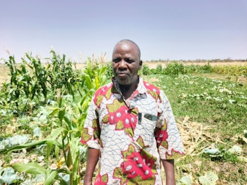 Région des Koulsé : Sous l'impulsion du PCRSS-Burkina, l'agriculture renforce la résilience et rallume l'espoir 11 11.jpg 09292