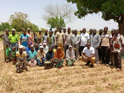 Région des Koulsé : Sous l'impulsion du PCRSS-Burkina, l'agriculture renforce la résilience et rallume l'espoir 12 12.jpg 1e695
