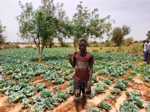 Région des Koulsé : Sous l'impulsion du PCRSS-Burkina, l'agriculture renforce la résilience et rallume l'espoir 14 14.jpg adb85