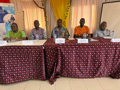 Burkina/Situation humanitaire : Lancement du projet « Relance au Sahel » pour soutenir les populations vulnérables de la province du Nayala 2 2 9333 80c2a