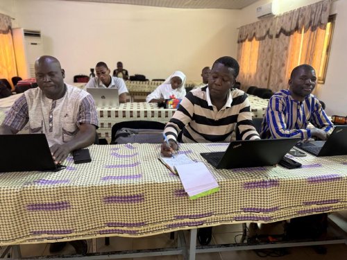 Burkina/Santé : Un projet de bio-insecticide contre les vecteurs du paludisme...