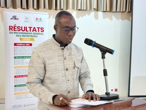 Burkina Faso : 389 172 unités économiques recensées en 2024 3 3 jpg 15 357b1