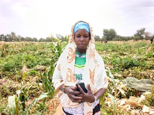 Région des Koulsé : Sous l'impulsion du PCRSS-Burkina, l'agriculture renforce la résilience et rallume l'espoir 5 5 12.jpg e3fc8