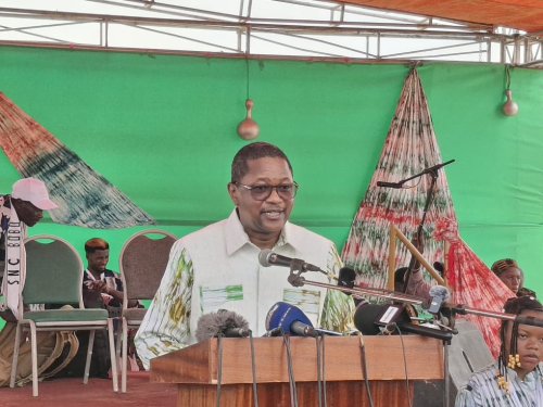 Semaine nationale de la culture 2026 : Bobo-Dioulasso célèbre la fraternité sahélienne et la richesse des communautés 9 ab7 10.jpg ce336