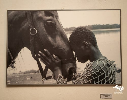 Art photographique : Harouna Marané explore le lien homme-cheval dans une exposition 3 3 l oeuvre penser cheval est le coup de coeur du photographe dieudonne ouoba venu soutenir l exposant harouna marane 111ae